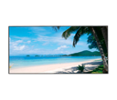 MONITOR 55" RETROILUMINACION LED 4K ÁNGULO DE VISIÓN 178°(H)/178°(V) DP/HDMI X 2/VGA PARLANTE 5WX2